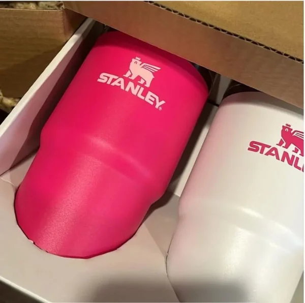 Stanley 2 pk 20 oz. Stainless Steel H2.0 Flowstate Quencher Tumblers Pink Vibes/Frost - MadeInUSA - Image 2