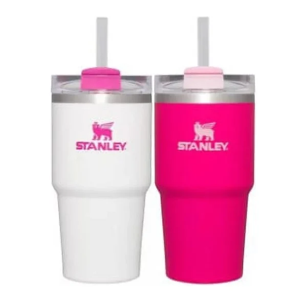 Stanley 2 pk 20 oz. Stainless Steel H2.0 Flowstate Quencher Tumblers Pink Vibes/Frost - MadeInUSA