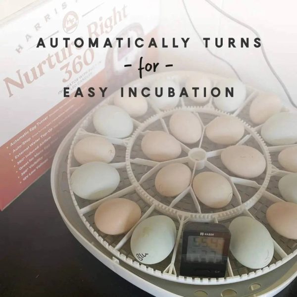 Harris Farms Nurture Right 360 Incubator - MadeInUSA - Image 2