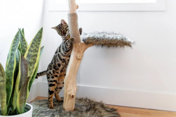 Mau Style Uni Cat Tree - MadeInUSA - Image 7
