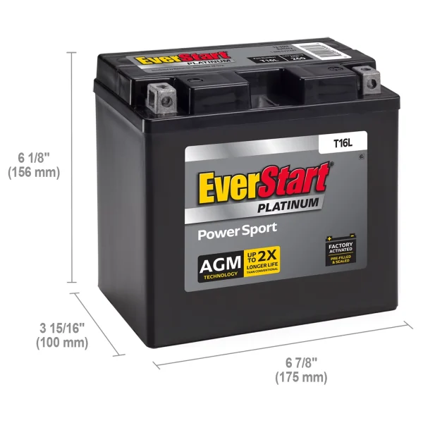 EverStart Premium AGM Power Sport Battery, Group Size T16L 12 Volt, 260 CCA - MadeInUSA - Image 2