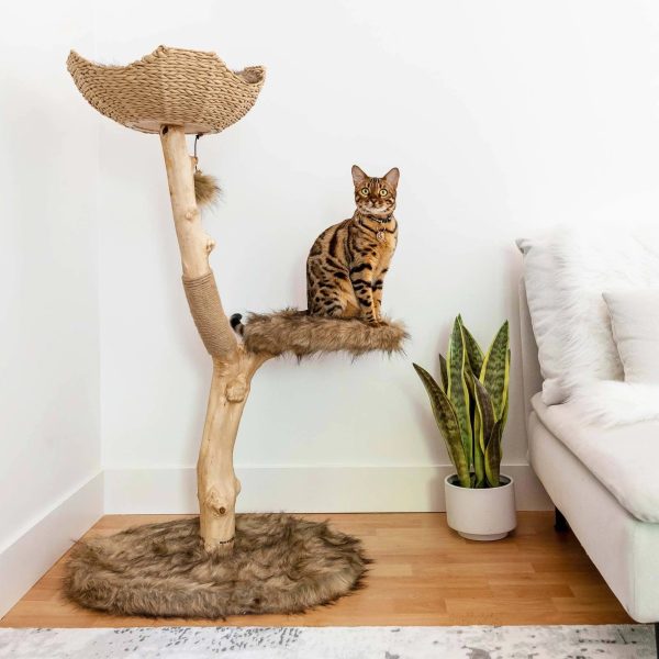 Mau Style Uni Cat Tree - MadeInUSA - Image 11