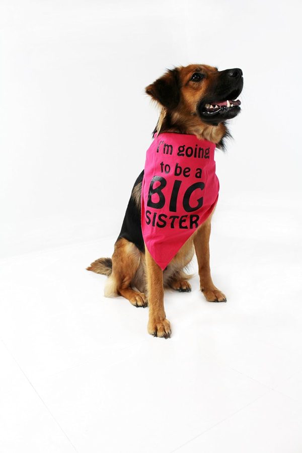 Midlee I'm Going to be a Big Sister Dog Bandana - Image 2
