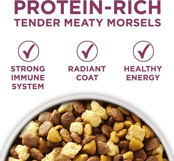 Purina ONE Natural High Protein Dry Puppy Food, Plus Healthy Puppy Formula 16.5 lb. Bag - MadeInUSA - Image 2