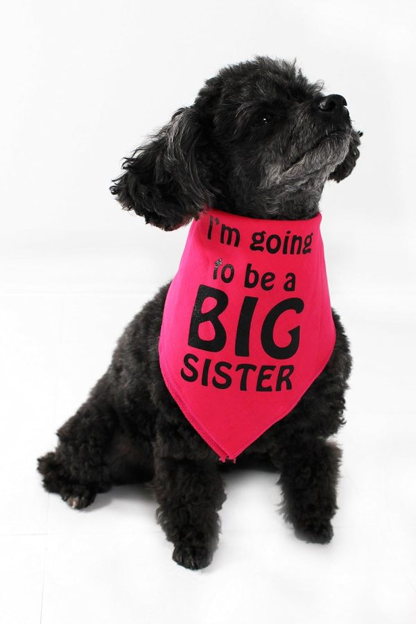 Midlee I'm Going to be a Big Sister Dog Bandana