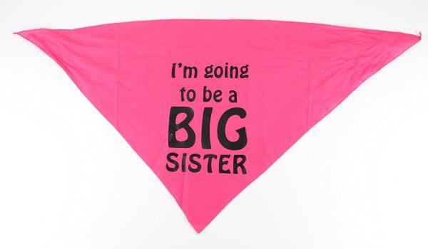 Midlee I'm Going to be a Big Sister Dog Bandana - Image 3