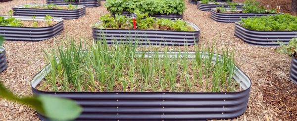 Vego Garden 17 in. Tall 6 in 1 Modular Metal Raised Garden Bed Kit - Olive Green - MadeInUSA - Image 9