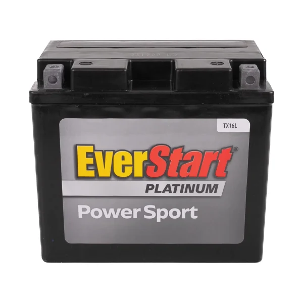 TX16L EverStart AGM Factory Activated Powersport 12 Volt Battery 230 CCA 14 RC - MadeInUSA