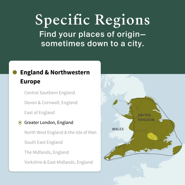 AncestryDNA Genetic Test Kit: Personalized Genetic Results, DNA Ethnicity Test, Complete DNA Test - MadeInUSA - Image 5
