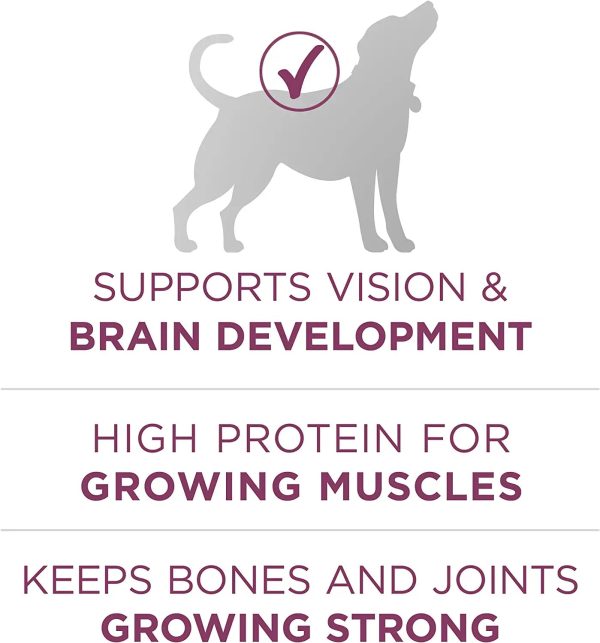 Purina ONE Natural High Protein Dry Puppy Food, Plus Healthy Puppy Formula 16.5 lb. Bag - MadeInUSA - Image 4