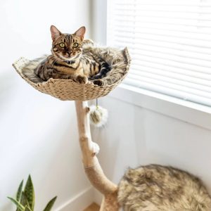 Mau Style Uni Cat Tree - MadeInUSA