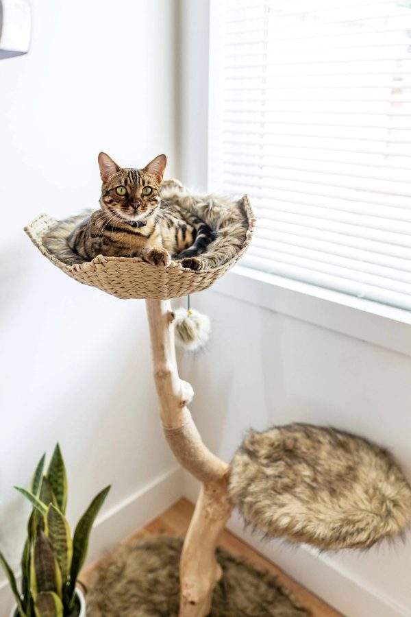 Mau Style Uni Cat Tree - MadeInUSA