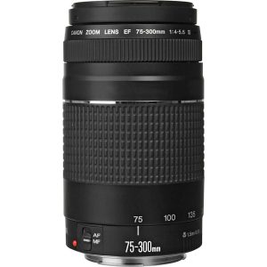 Canon EF 75-300mm f/4-5.6 III Lens - MadeInUSA