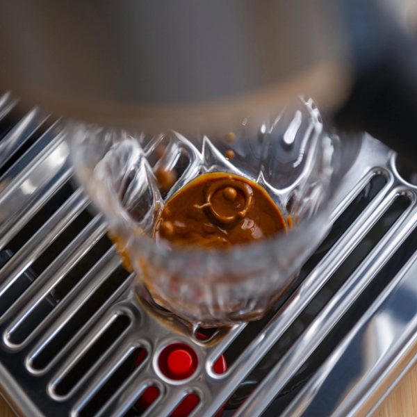 Breville Bambino Plus Espresso Machine Stainless Steel - MadeInUSA - Image 8