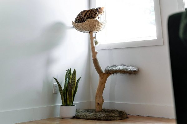 Mau Style Uni Cat Tree - MadeInUSA - Image 4
