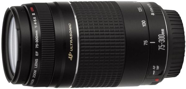 Canon EF 75-300mm f/4-5.6 III Zoom Lens - MadeInUSA - Image 5
