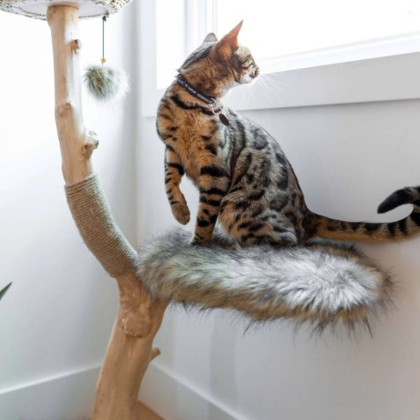 Mau Style Uni Cat Tree - MadeInUSA - Image 8