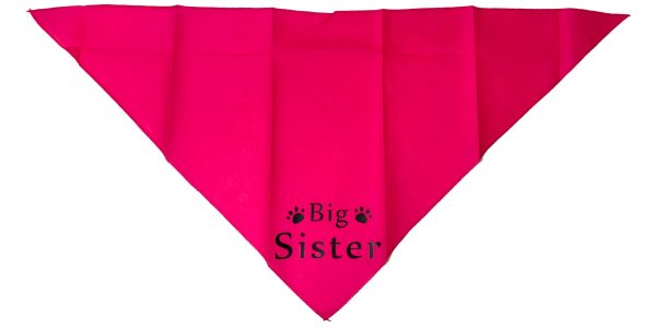 Midlee Big Sister Dog Bandana - Image 3