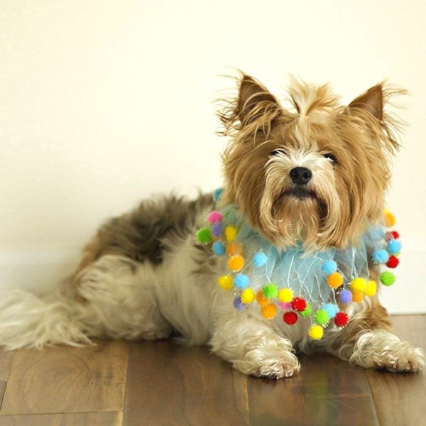 Midlee Blue Birthday Pom Pom Dog Collar - Image 11