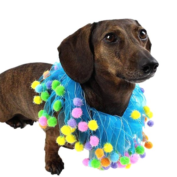 Midlee Blue Birthday Pom Pom Dog Collar - Image 13