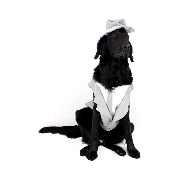 Midlee Dog Tuxedo Wedding Suit- Gray Top Hat & Leash - Image 7