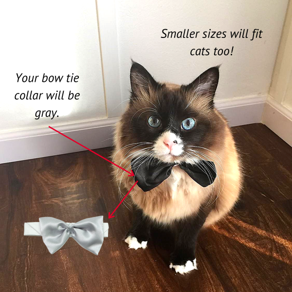Midlee Satin Bow Tie Dog Wedding Collar - Image 8