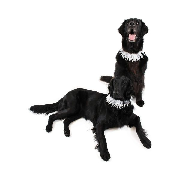 Midlee Wedding Pearl Bead Dog Collar - Image 4