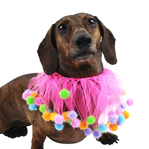 Midlee Pink Birthday Pom Pom Dog Collar - Image 5