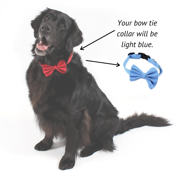 Midlee Bow Tie Dog Collar Canvas - Image 3