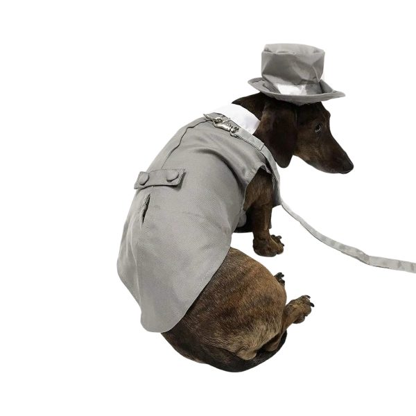 Midlee Dog Tuxedo Wedding Suit- Gray Top Hat & Leash - Image 20