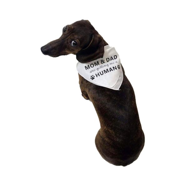Midlee Mom & Dad are Getting me a Human Dog Bandana