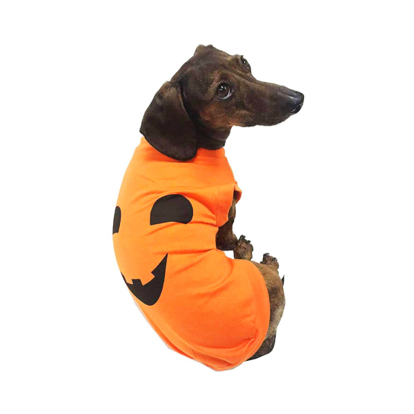 Midlee Pumpkin Face Dog Shirt Costume - Image 6