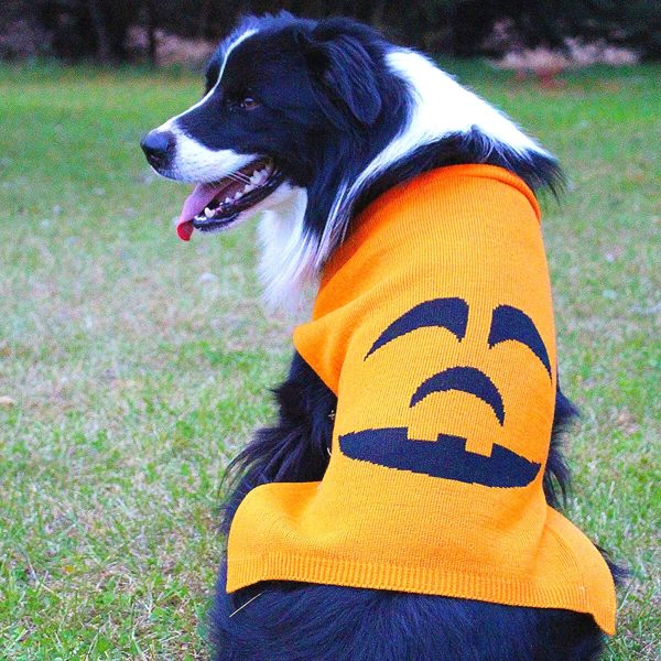 Midlee Pumpkin Face Dog Sweater - Image 3