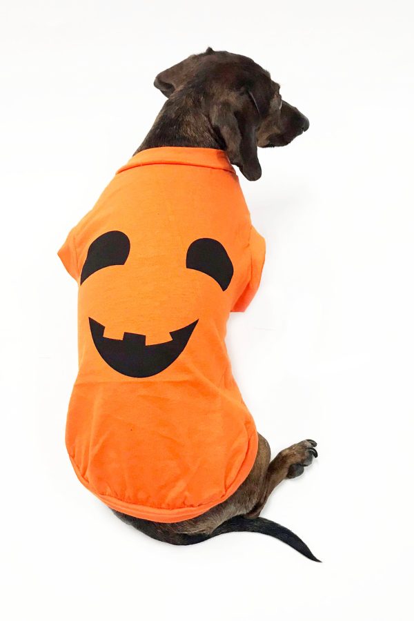 Midlee Pumpkin Face Dog Shirt Costume - Image 2