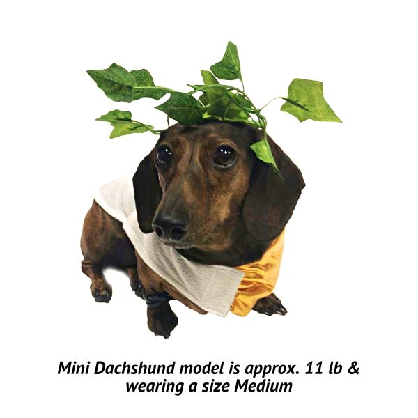Midlee Toga Dog Costume - Image 9
