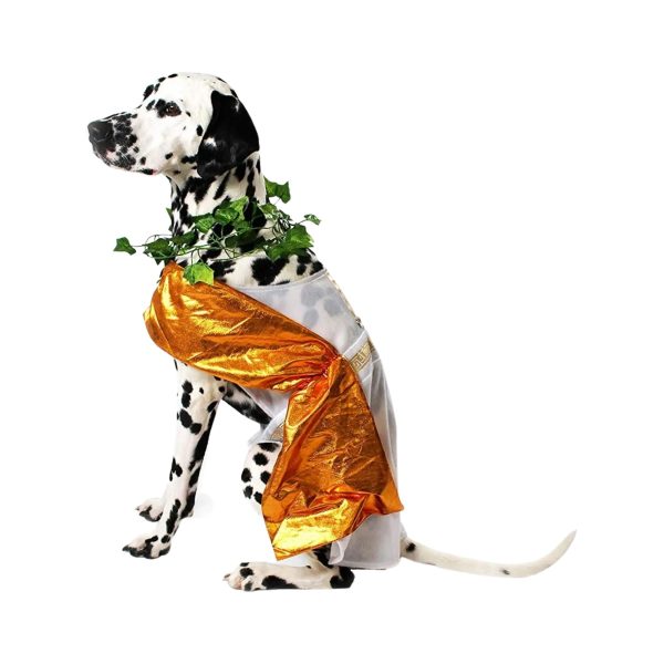 Midlee Toga Dog Costume - Image 3