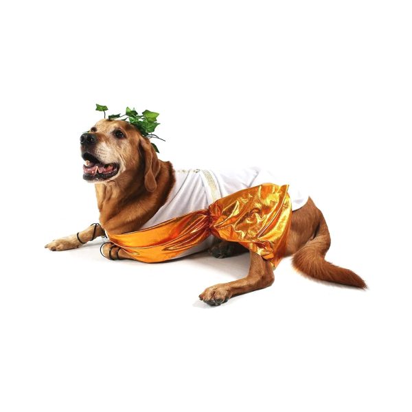 Midlee Toga Dog Costume - Image 6