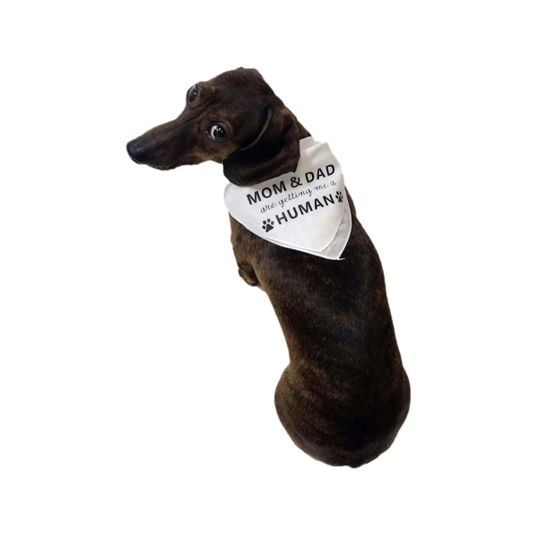 Midlee Mom & Dad are Getting me a Human Dog Bandana - Image 3