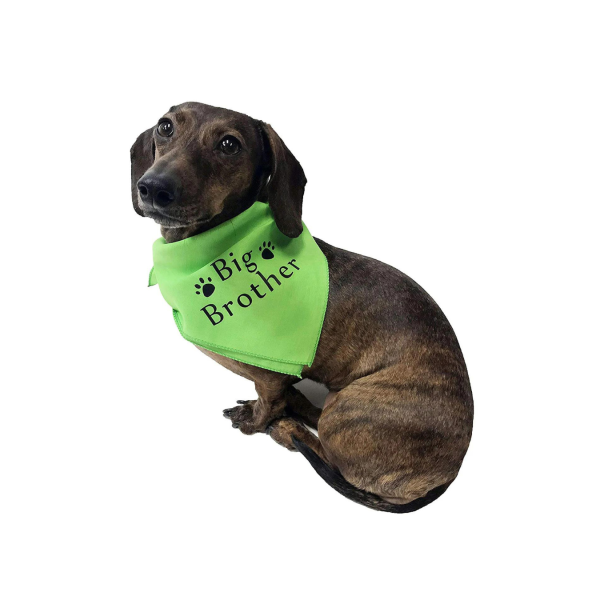 Midlee Big Brother Dog Bandana - Image 2