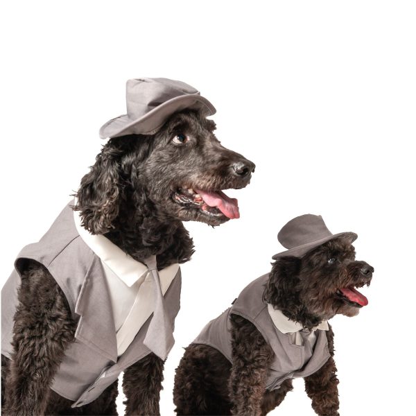 Midlee Dog Tuxedo Wedding Suit- Gray Top Hat & Leash - Image 14