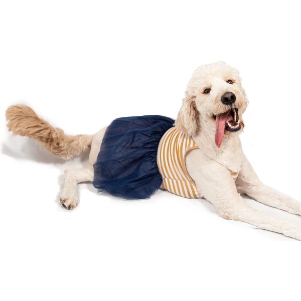 Midlee Elegant Tan & White Stripe Tutu Large Dog Dress - Image 7
