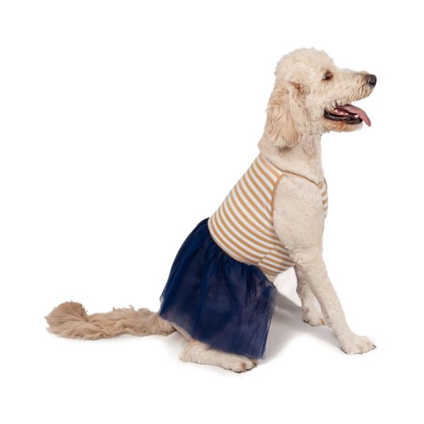 Midlee Elegant Tan & White Stripe Tutu Large Dog Dress - Image 5
