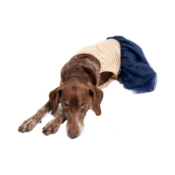 Midlee Elegant Tan & White Stripe Tutu Large Dog Dress - Image 3