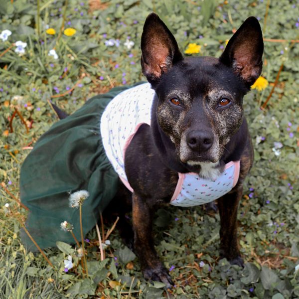 Midlee Pink Rose Tutu Large Dog Dress - Image 3
