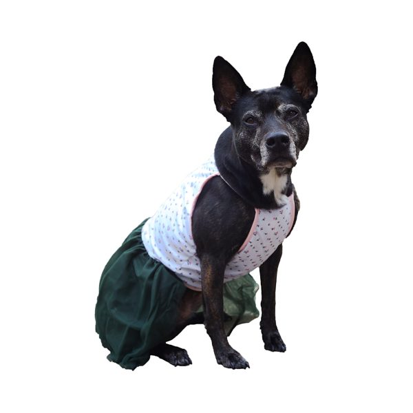 Midlee Pink Rose Tutu Large Dog Dress - Image 10