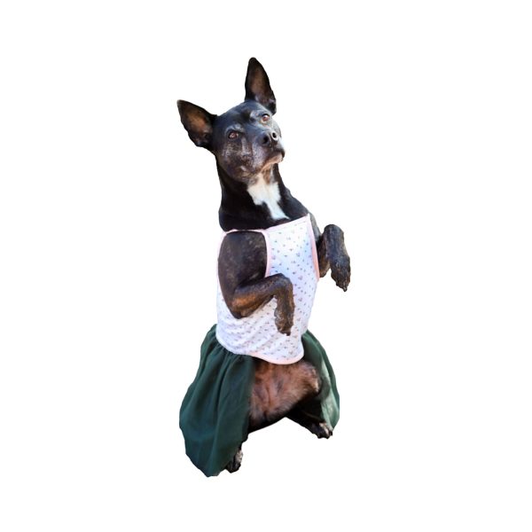 Midlee Pink Rose Tutu Large Dog Dress - Image 9