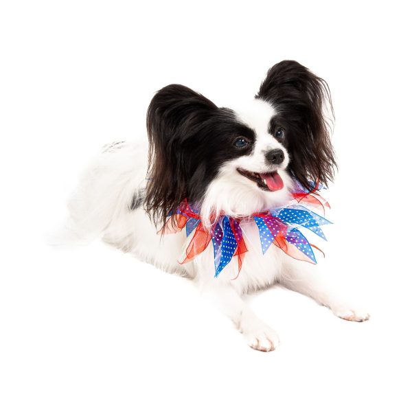 Midlee Patriotic Dots 4th of July Dog Collar - Image 7