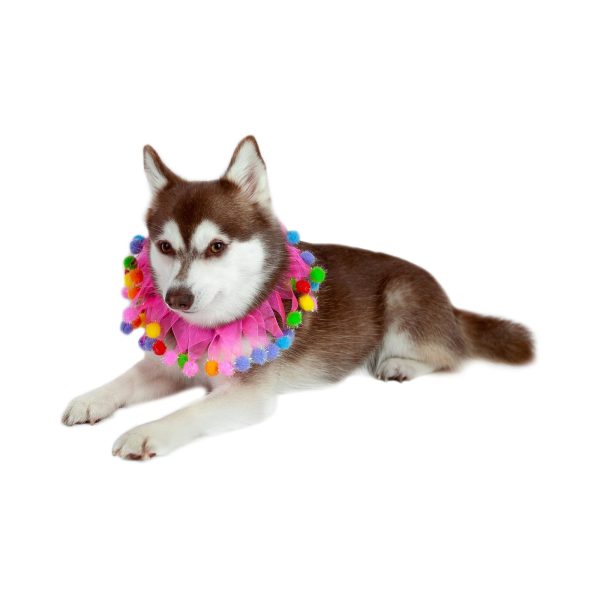 Midlee Pink Birthday Pom Pom Dog Collar - Image 3