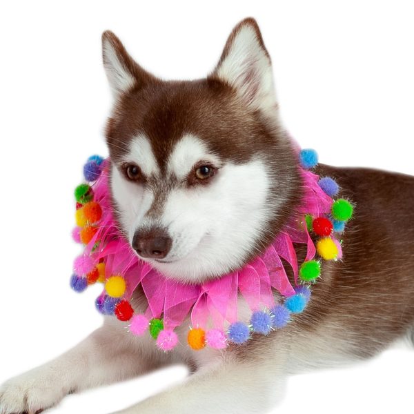 Midlee Pink Birthday Pom Pom Dog Collar - Image 7