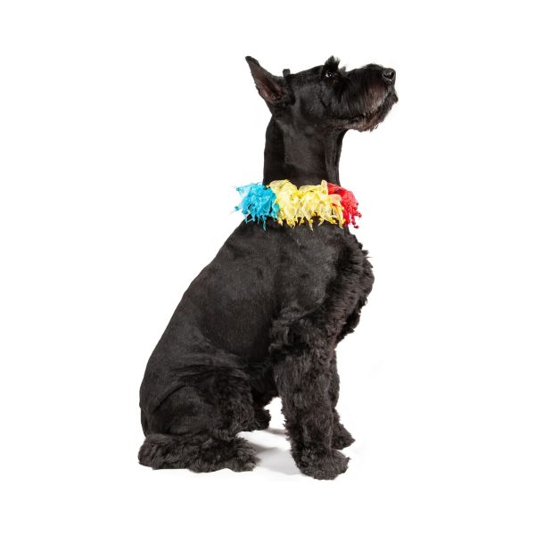 Midlee Rainbow Decorative Dog Collar - Image 4